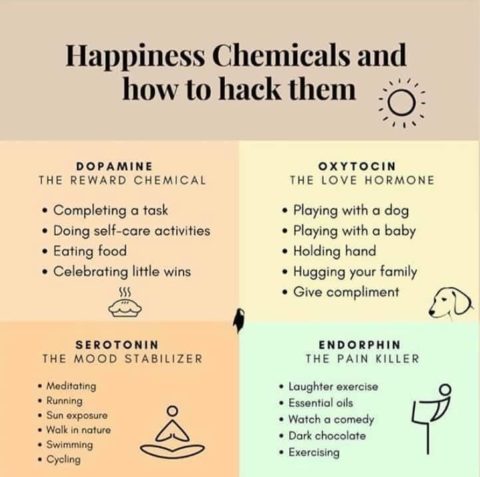 Happiness and how happy hormones work
